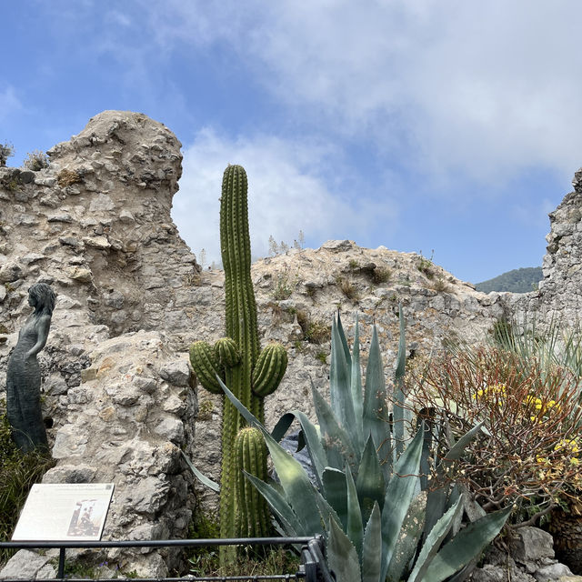 🇫🇷法國埃茲-Jardin Exotique d’Eze 🌵