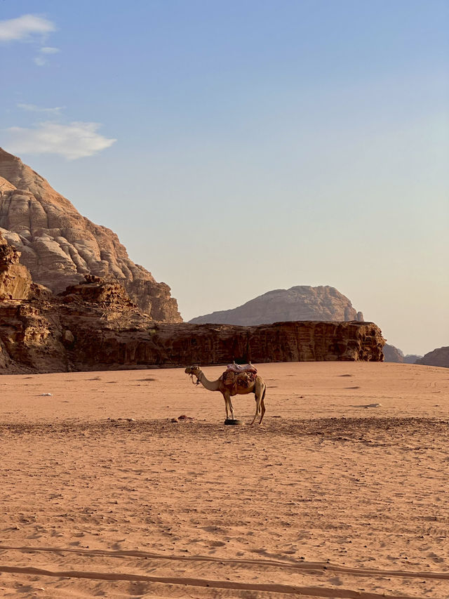 Jeep 4x4 Adventure in Wadi Rum