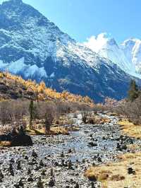 Autumn in A’ding, Daocheng – Chengdu 🍁