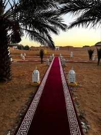 The Endless Beauty of the Sahara Desert