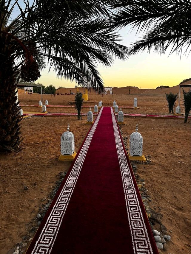 The Endless Beauty of the Sahara Desert