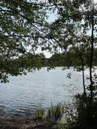 【ヘルシンキ】Töölö bay