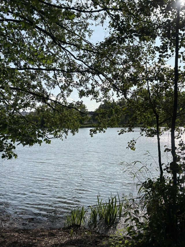 【ヘルシンキ】Töölö bay