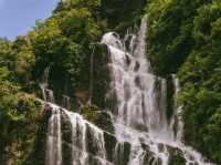 Secret Falls Vibe💧