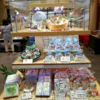 鎌倉美食街掃街攻略!現烤鴿子餅、超濃抹茶及必食可樂餅大集合🍘🍦