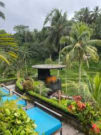 📍 Cretya Ubud 방문 후기