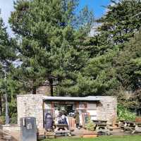 Bournemouth Parks - Lower Gardens