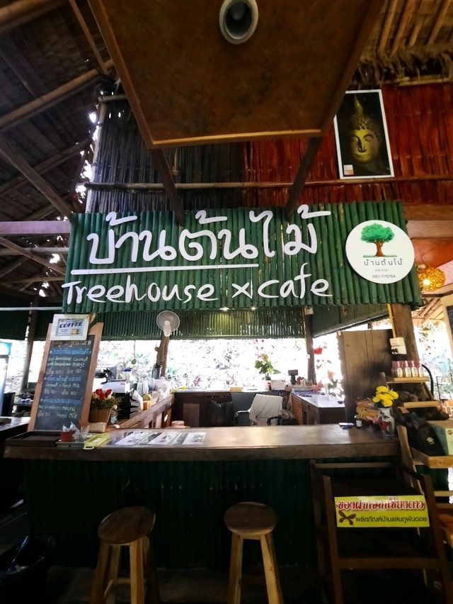 🌳 "บ้านต้นไม้" ที่พักและคาเฟ่สุดชิลล์ในเชียงดาว