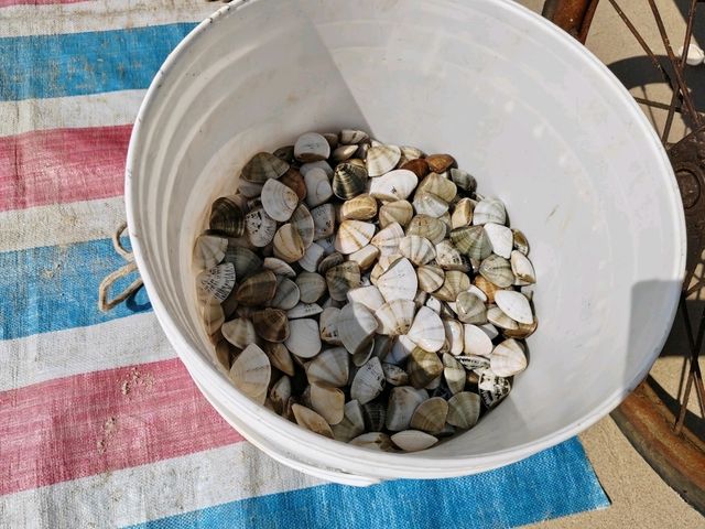 金町湾沙灘，七公里原生海岸線，水清沙幼白沙灘