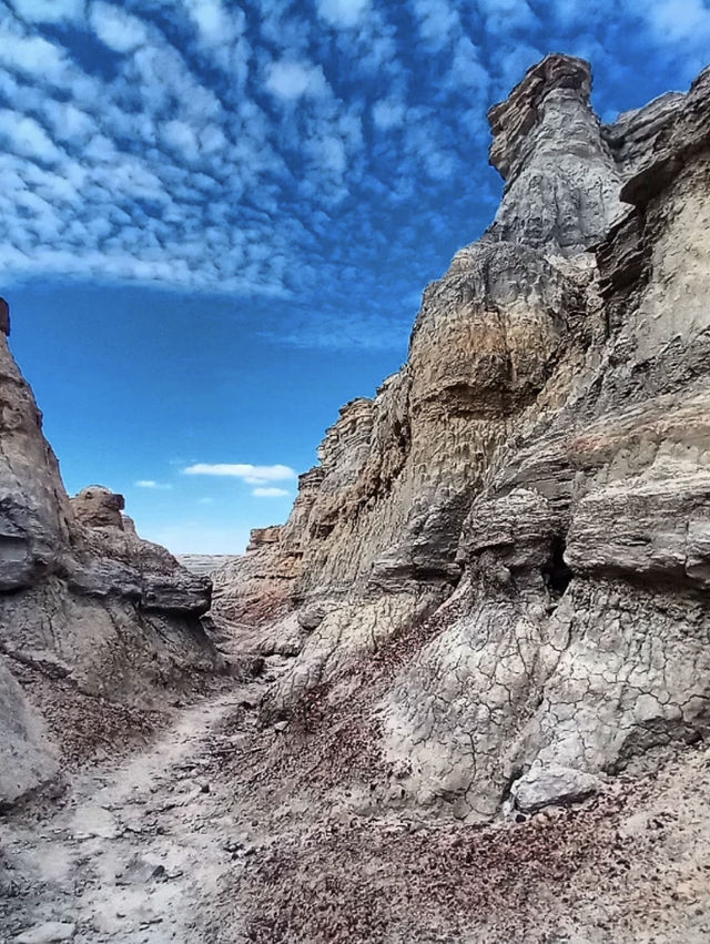 Kazakhstan Trip: Walking in the Karynzharyk Hollow Desert