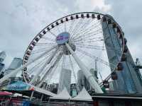 Hongkong Observation Wheel 🎡