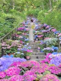 Flower Temple Magic🌸
