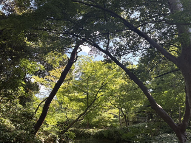 【東京・駒込】六義園で都会の静寂を満喫！四季折々の日本庭園美！