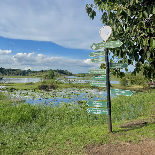 สวนพฤกษศาสตร์ระยอง 🏞️