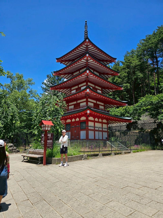 【秋日限定】淺間公園的夢幻畫面