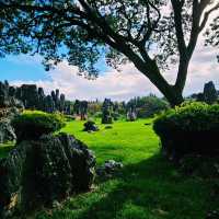 Nature’s Sculpture: Shilin Stone Forest