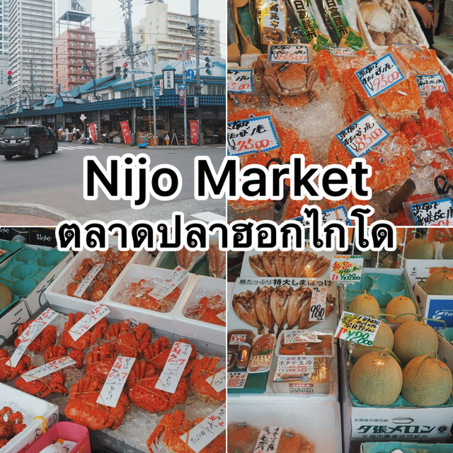 ตลาดปลา Nijo Market 🦀🐠🐟