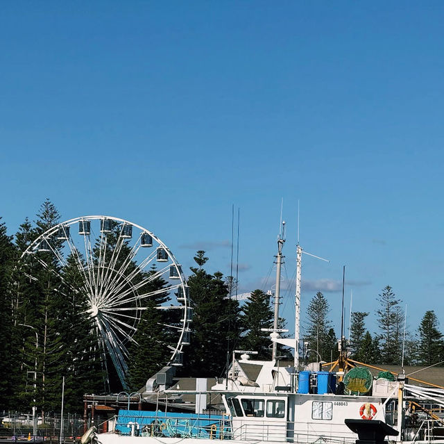 Strolling through Fremantle