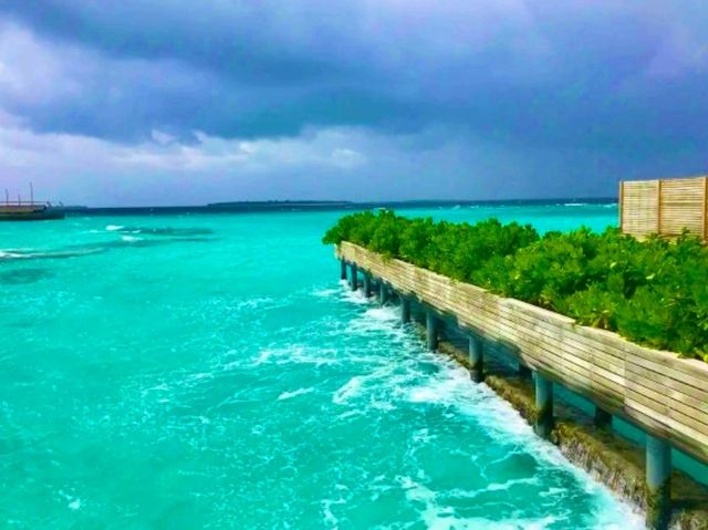 Milandhoo Island Maldives Hotel – A Hidden Gem for Peace Seekers