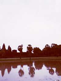 🌅 Angkor Wat Sunrise: When Ancient Stones Catch Fire with Dawn's First Light! 🏛️
