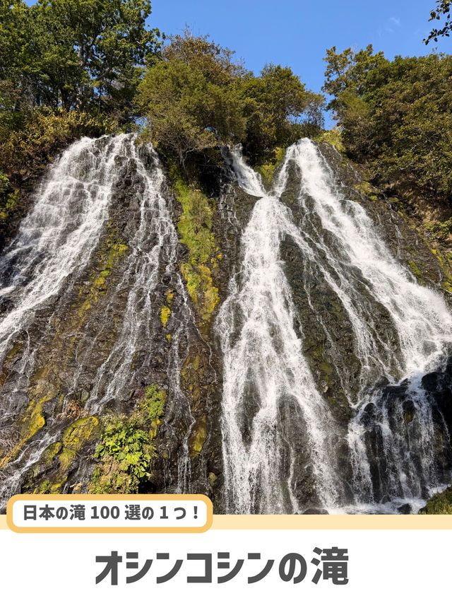 【北海道】世界自然遺産・知床で巡る絶景5選🌊🌲 【北海道】世界自然遺産・知床で巡る絶景5選🌊🌲