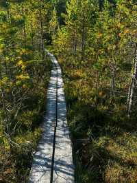 🌲 Seitseminen National Park – Where Finnish Wilderness Comes Alive