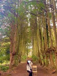 잊을 수 없는 가을 야외데이트 🍁🌿 제주 비밀의 정원