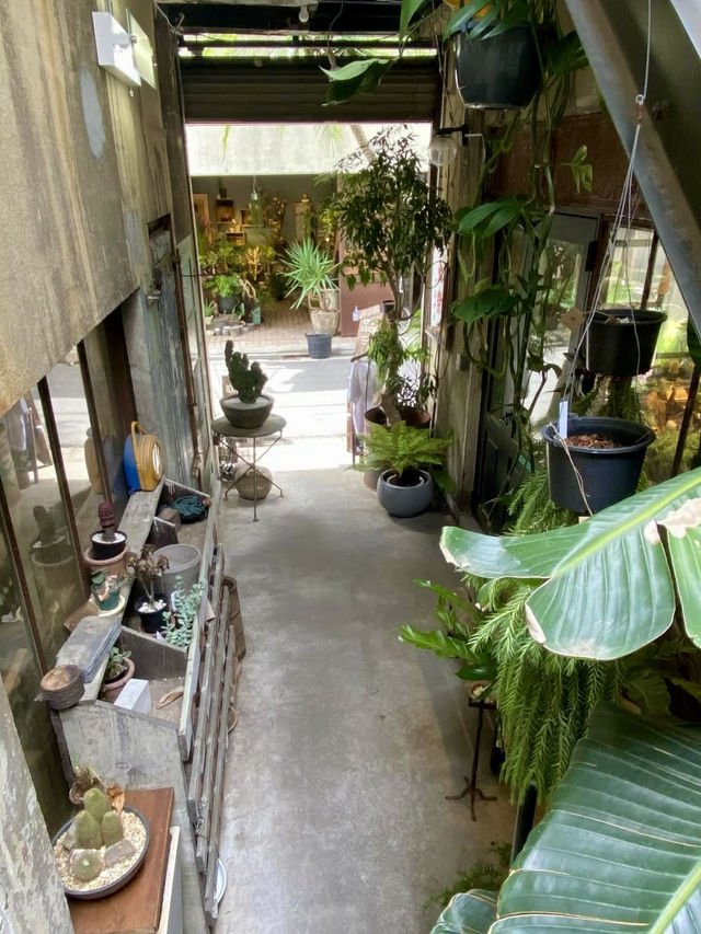 📚 Green Escape at ROUTE BOOKS – A Book Café Like No Other