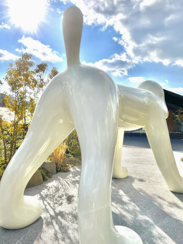 🎨 Art Meets Architecture at Comico Art Museum Yufuin