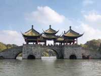 Yangzhou Gem🌳
