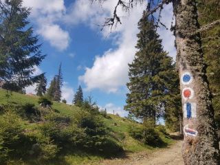 พาราไดซ์พาร์ค