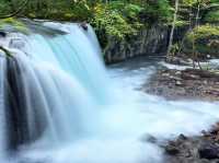 日本青森奧入瀨溪流
