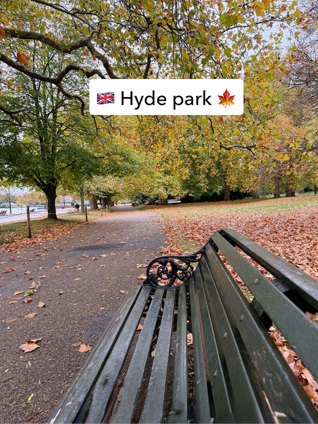 Hyde park🇬🇧🍁🍂 Hyde park🇬🇧🍁🍂