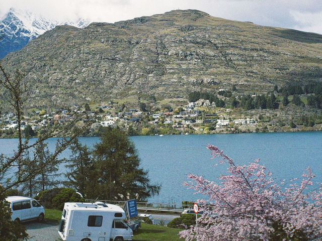 Walk and Meet the Beauty of Queenstown 🌸 Walk and Meet the Beauty of Queenstown 🌸