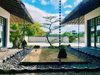 Your Florida Fall Escape: A Solo Journey at Morikami