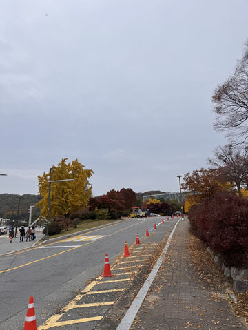 Beauty of K-Autumn 🥹