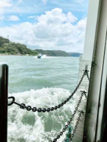 悉尼隐藏版度假地！无车岛Dangar Island