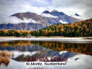 A unique autumn 🍂 with golden leaves reflecting on the skin