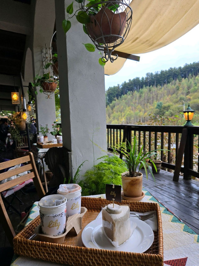 🤎가평 릴리 숲뷰가 아름다운 가을 추천🧡