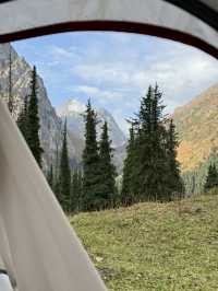  텐트 밖은 천국