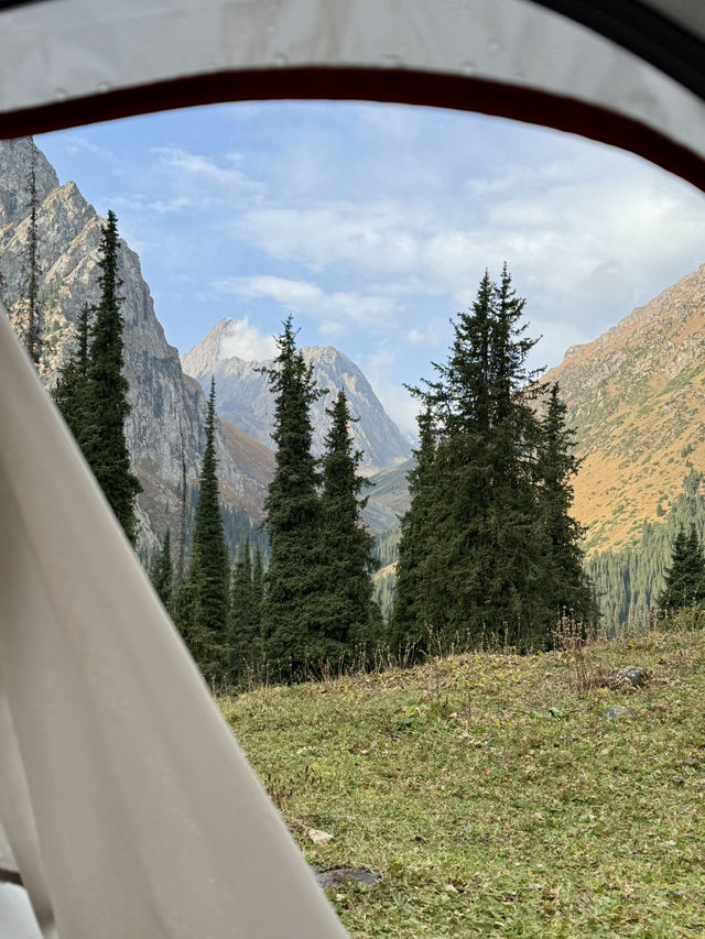  텐트 밖은 천국