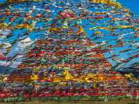 🐎 광활한 초원, 나파하이 – 바람이 가장 먼저 말을 거는 곳