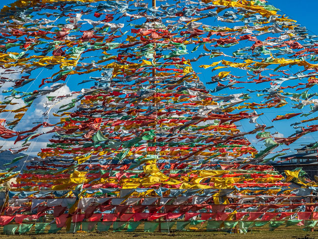 🐎 광활한 초원, 나파하이 – 바람이 가장 먼저 말을 거는 곳