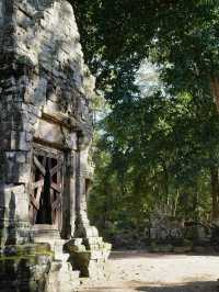 Nature Meets History🌿