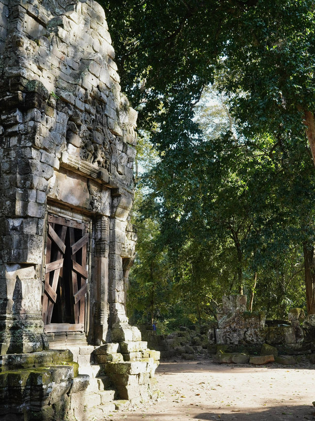 Nature Meets History🌿