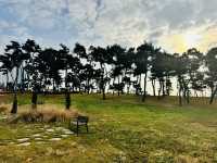 Evergreen Garden: Pyeongtaek’s Secret Sanctuary of Stillness🌿