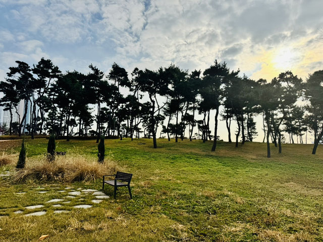 Evergreen Garden: Pyeongtaek’s Secret Sanctuary of Stillness🌿