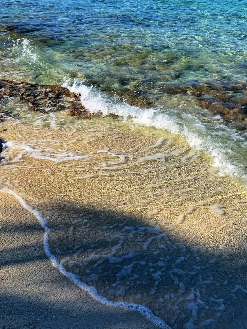 🏝️ Cozumel Island – Caribbean Beauty and Adventure
