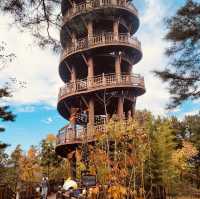 Autumn Foliage Framing the Presidential Villa