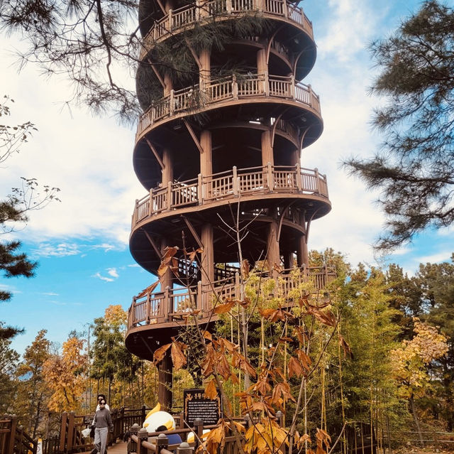 Autumn Foliage Framing the Presidential Villa Autumn Foliage Framing the Presidential Villa